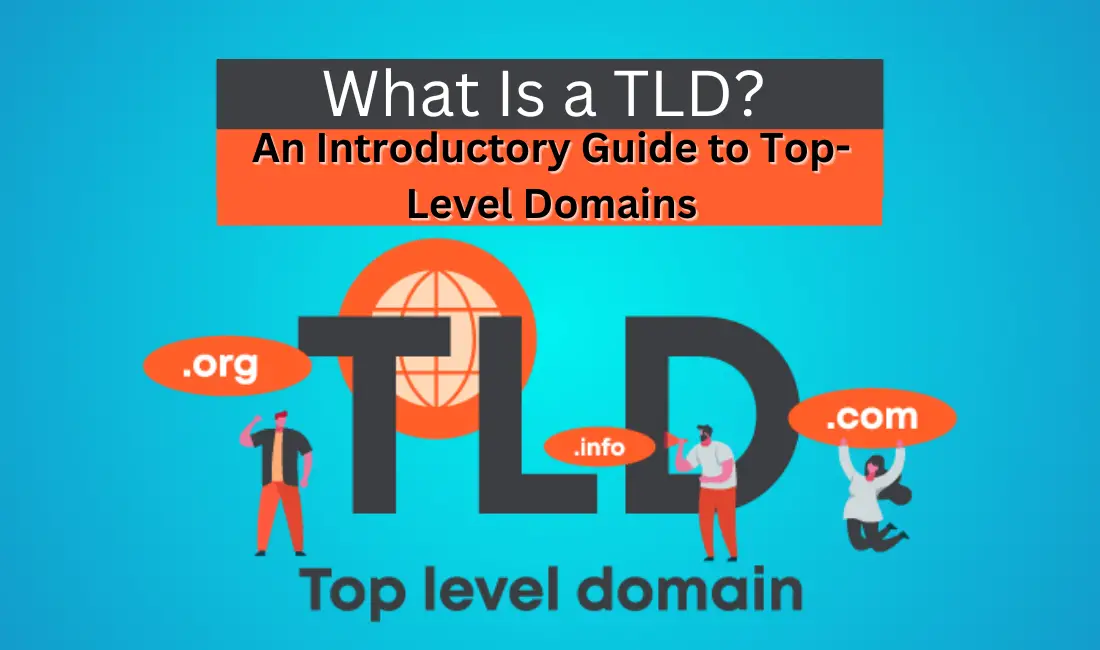 What Is a TLD An Introductory Guide to Top-Level Domains